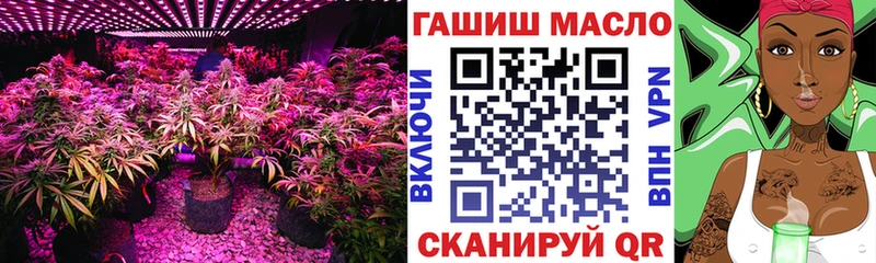 цены   Няндома  Дистиллят ТГК гашишное масло 