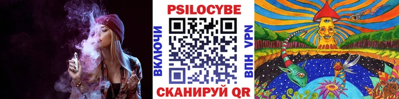 Галлюциногенные грибы Psilocybine cubensis  купить  цена  Няндома 